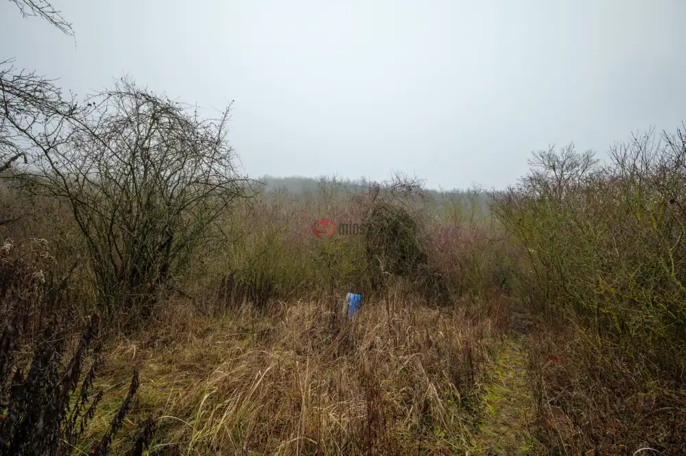 Komárom-Esztergom megye - Esztergom