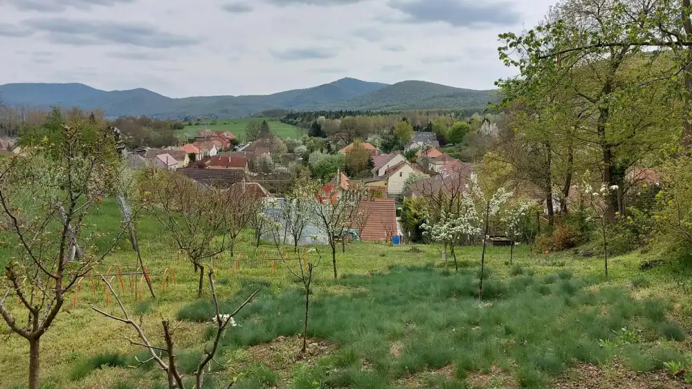 Komárom-Esztergom megye - Pilismarót